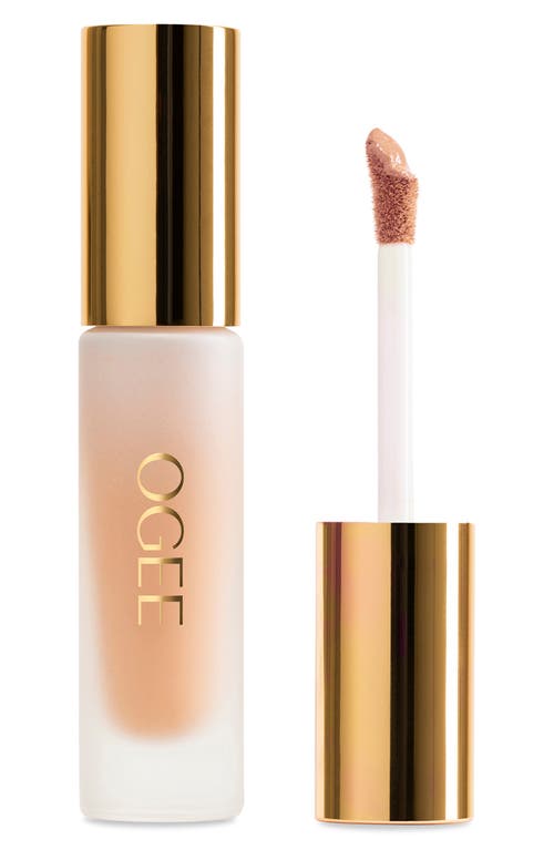 Ogee Complexion Perfecting Concealer In Green