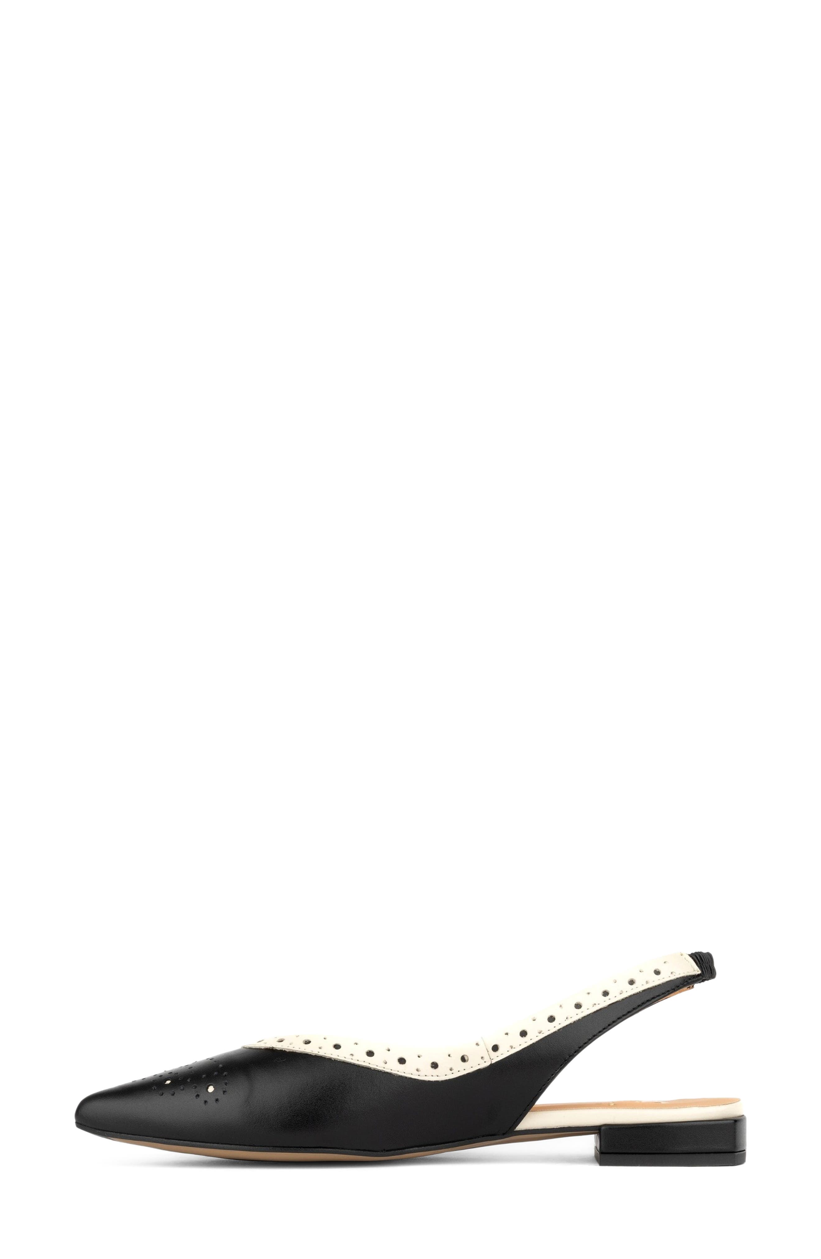 Holly Pointed Toe Slingback Flat, Alternate, color, BLACK
