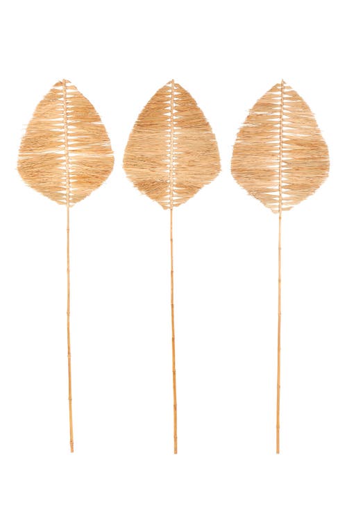 Sonoma Sage Home 3-piece Natural Dried Bamboo Leaf Foliage In Light Brown