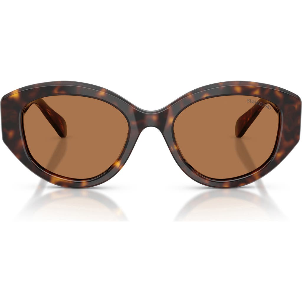 Swarovski 53mm Polarized Round Irregular Sunglasses In Brown