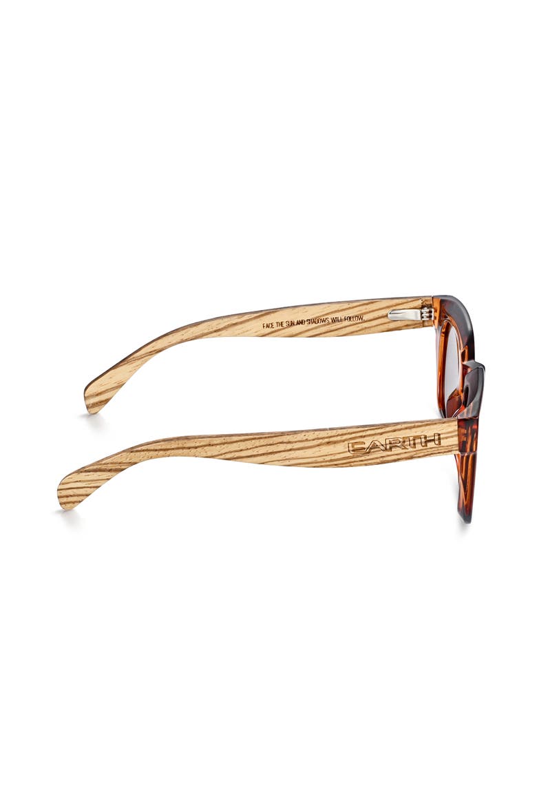 Antalya Polarized Sunglasses, Alternate, color, Zebra/Brown
