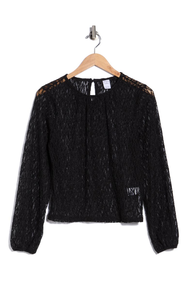 Long Sleeve Sheer Stretch Lace Top, Alternate, color, BLACK
