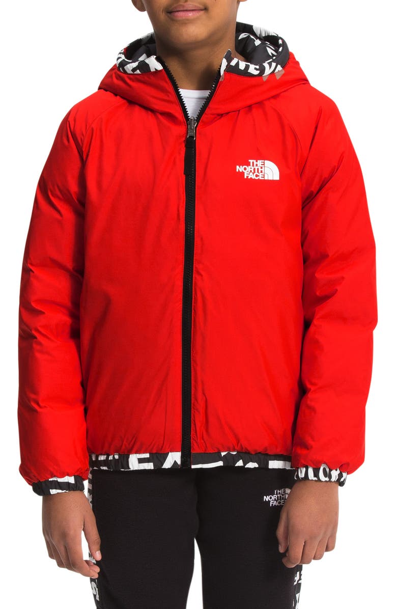 The North Face Kids' Hyalite 550 Fill Power Down Jacket, Alternate, color,