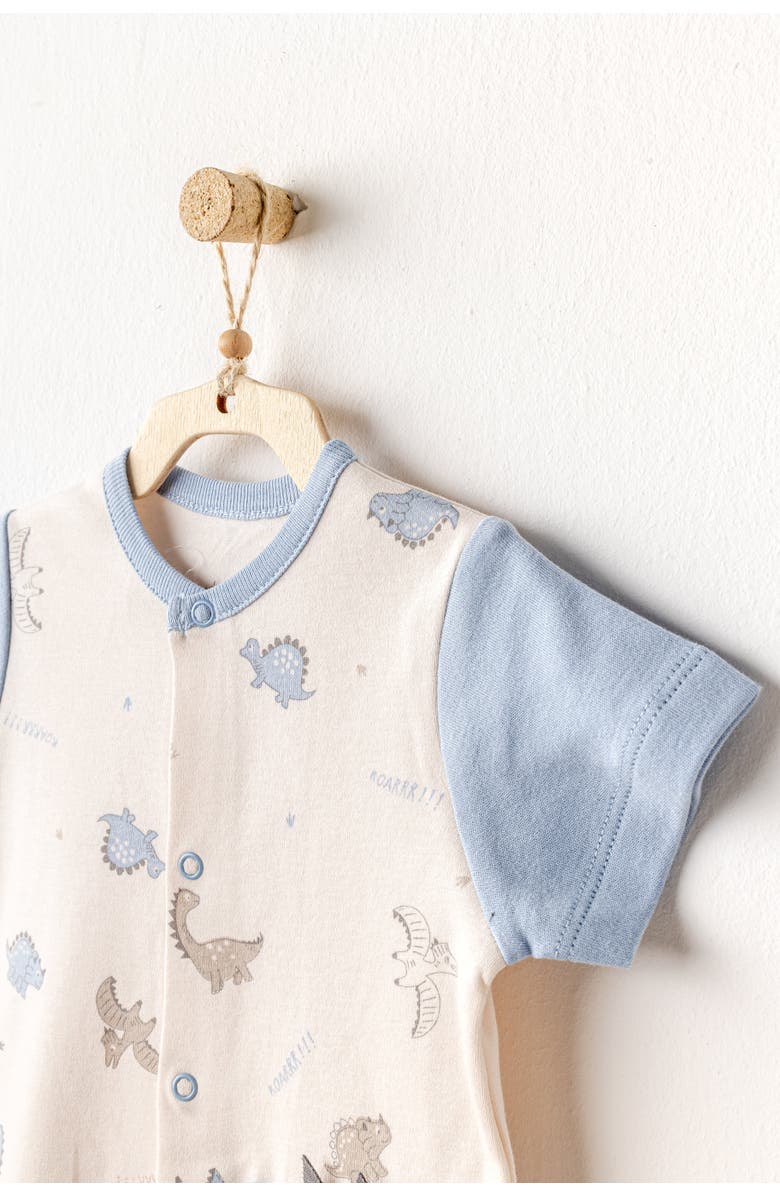 Andy Wawa Dinosaur Sleeve Romper, Alternate, color, 