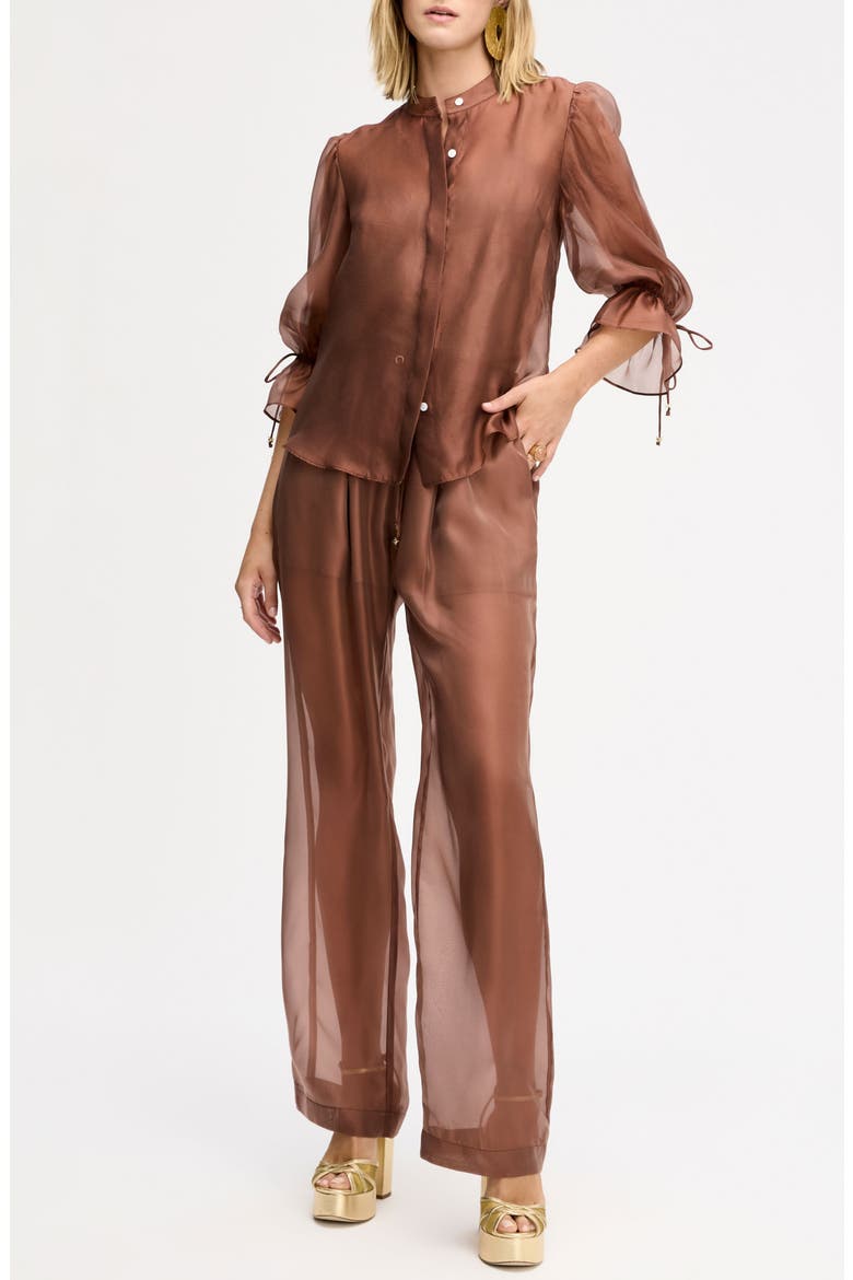 Sheer Drawstring Pants, Alternate, color, MOCHA