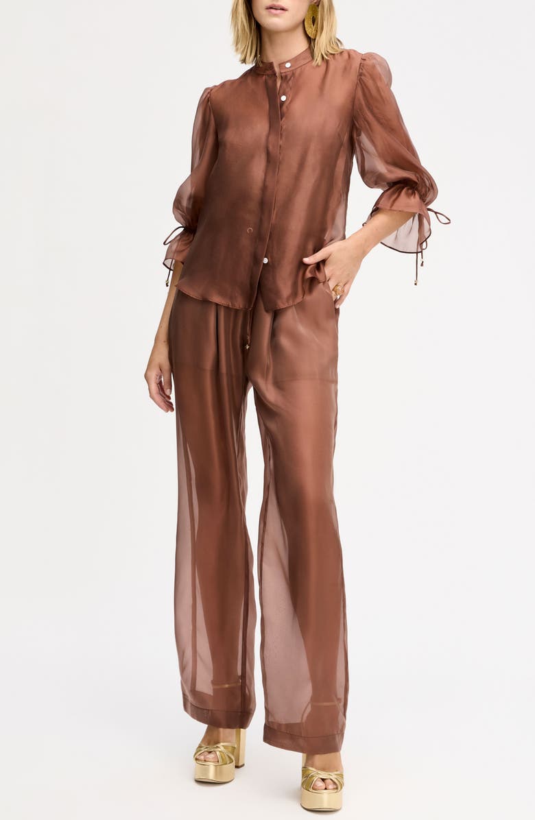 Sam Edelman Sheer Drawstring Pants, Alternate, color, Mocha