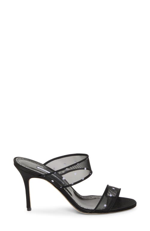 Manolo Blahnik Scoltobi Polka Dot Mesh Sandal