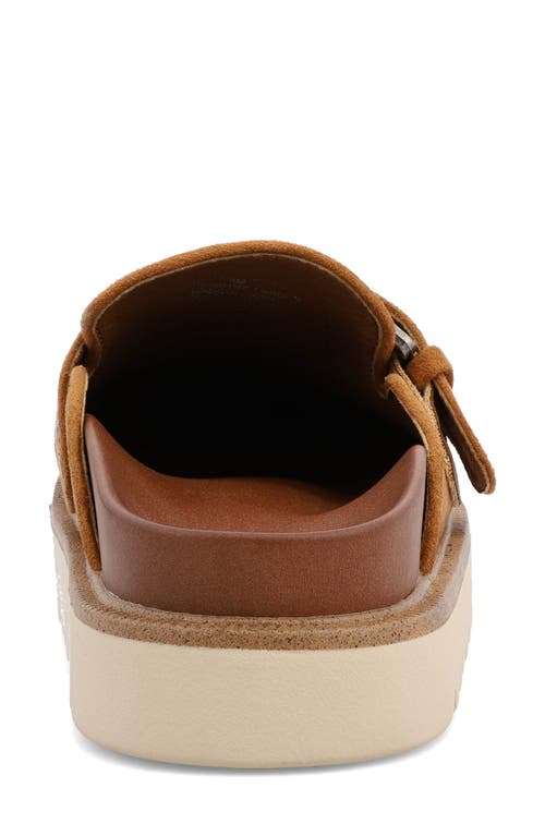 Mia Zamira Clog In Brown