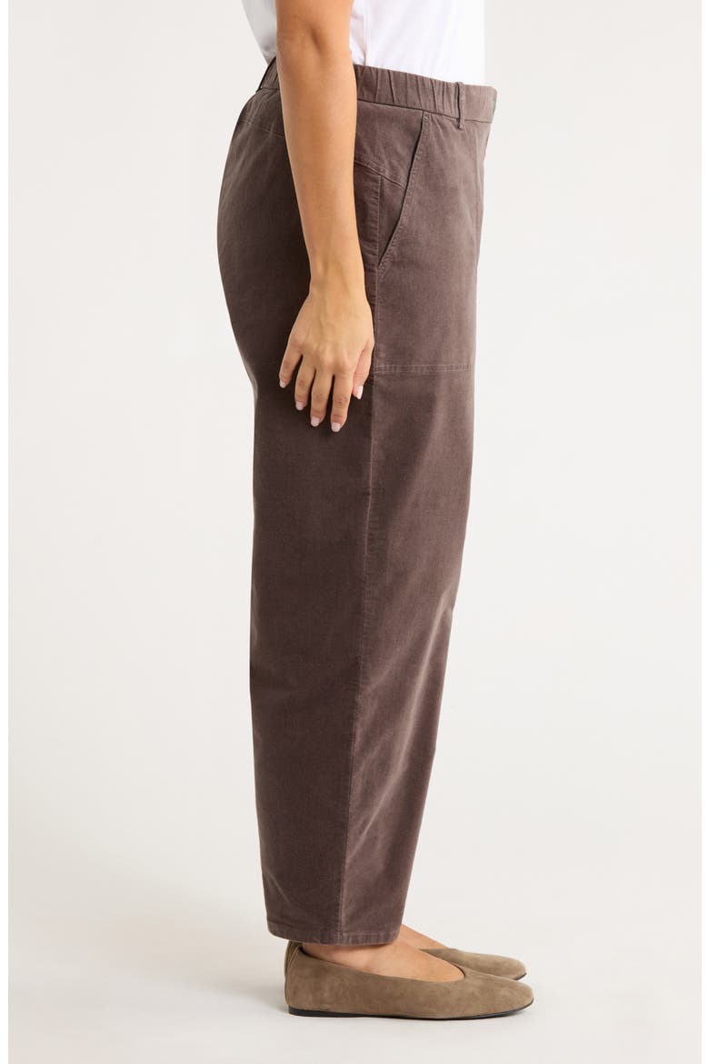 Stretch Organic Cotton Ankle Barrel Leg Pants, Alternate, color, RYE