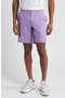  Purple-Heather