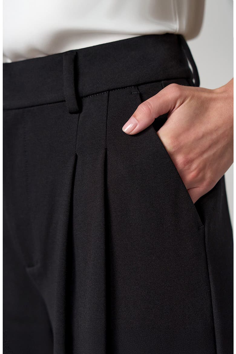 High Waist Pleated Wide Leg Ankle Pants, Alternate, color, BLACK