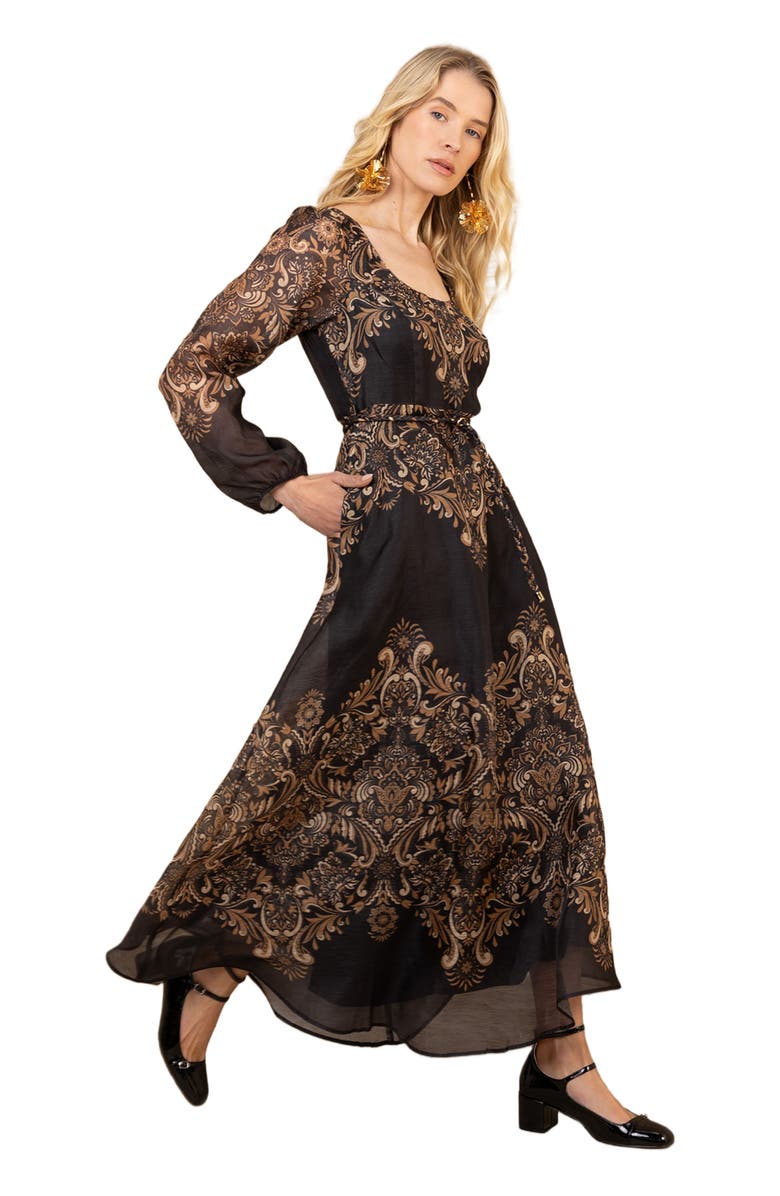 Hale Bob Aspyn Organza Maxi Dress, Alternate, color, Black