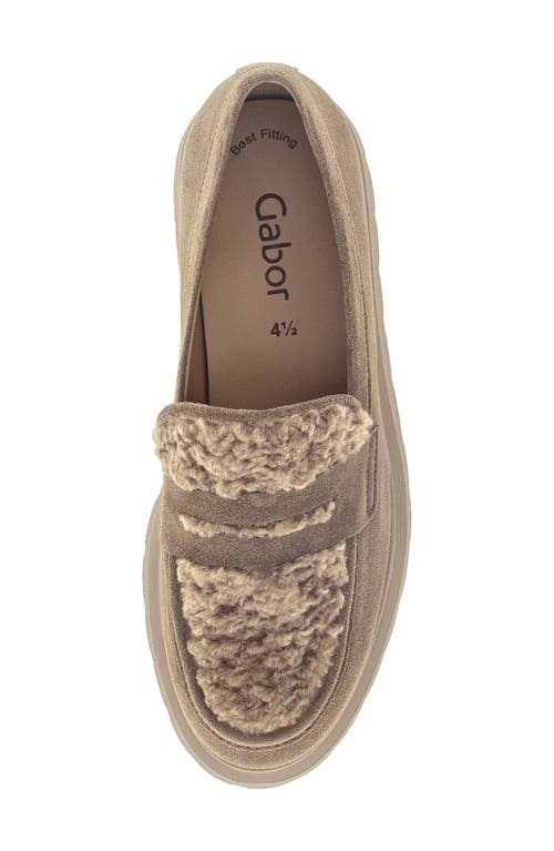 Gabor Mixed Media Leather Loafer In Multi