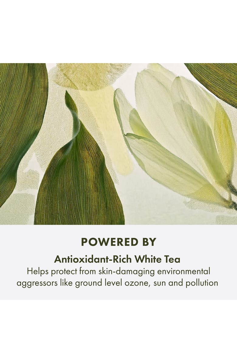 Origins A Perfect World<sup>™</sup> Age Defense Skin Guardian Serum with White Tea, Alternate, color, 