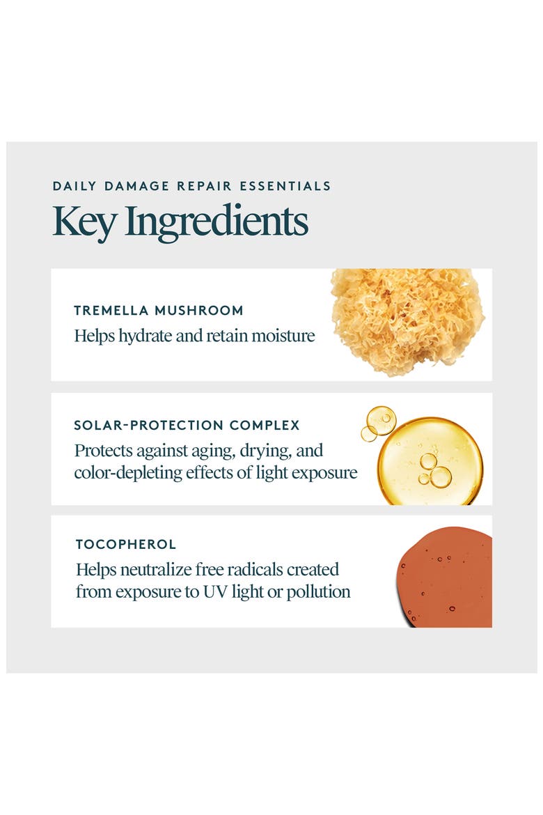 Daily Damage Repair Essentials Set $83 Value, Alternate, color, NO COLOR