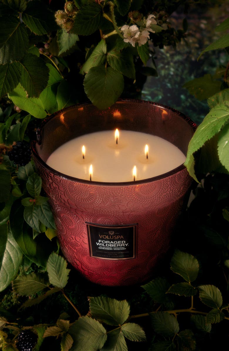 Voluspa Foraged Wildberry Five-Wick Hearth Candle, Alternate, color, Foraged Wildberry