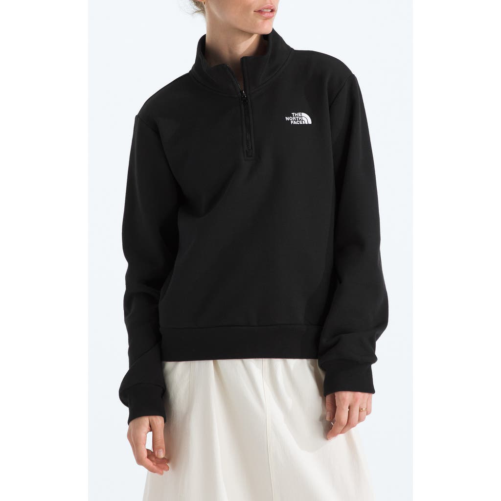 The North Face Evolution Quarter Zip Pullover In Black