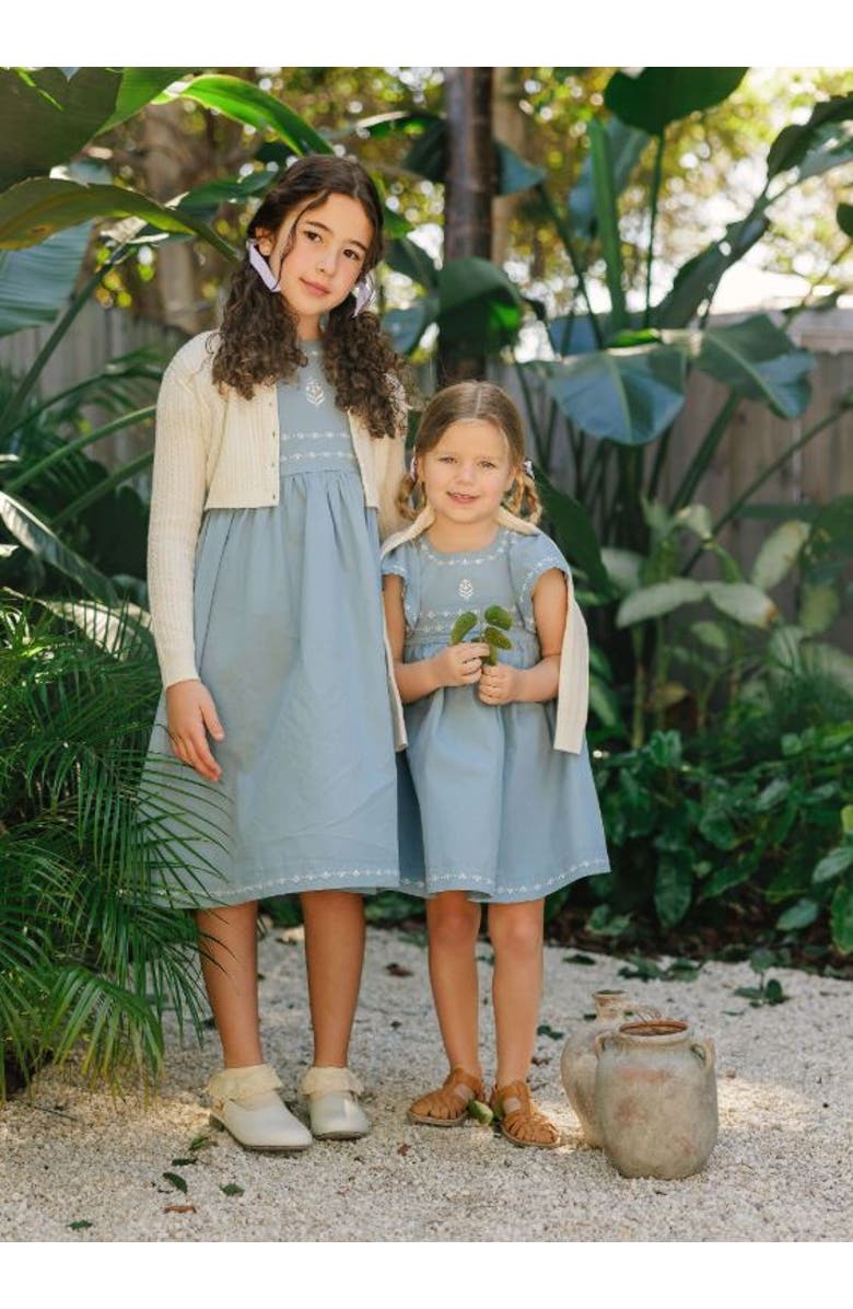Ely's & Co. Looms Embroidered Trim Collection - Dress, Alternate, color, Blue