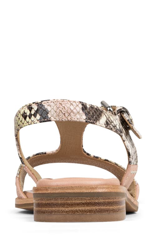 Donald Pliner Dria T-strap Sandal In Rosette