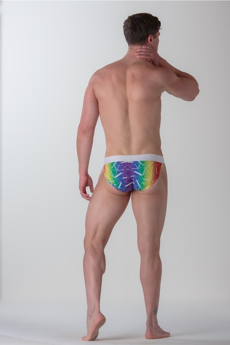 WOH Sexy Fun Tanga Briefs, Alternate, color, Multico Print
