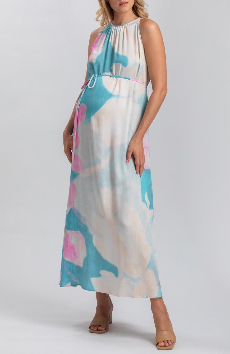 PIETRO BRUNELLI MATERNITY Francesca Floral Maternity Maxi Dress, Alternate, color,