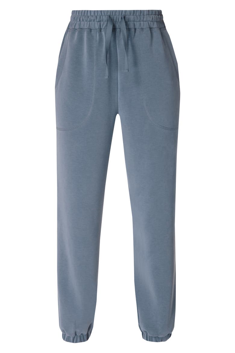 Sand Wash Joggers, Alternate, color, SUBDUED BLUE