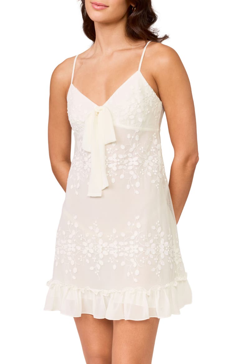 Tidal Embroidered Chiffon Chemise, Main, color, IVORY
