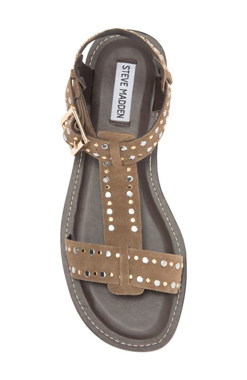 Steve Madden Brazinn Ankle Strap Sandal In Brown