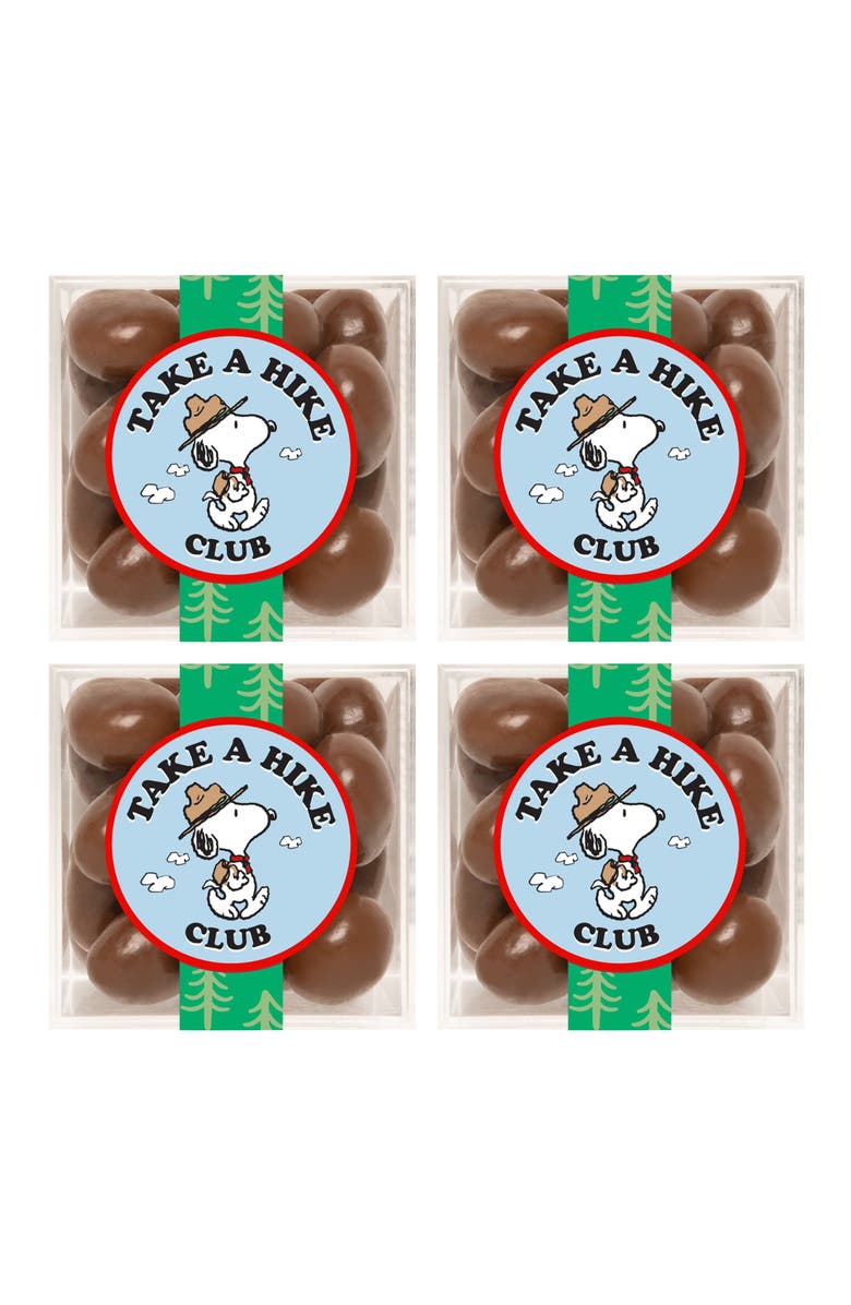 sugarfina x Peanuts Chocolate Biscuits Set of 4 Candy Cubes, Main, color, 