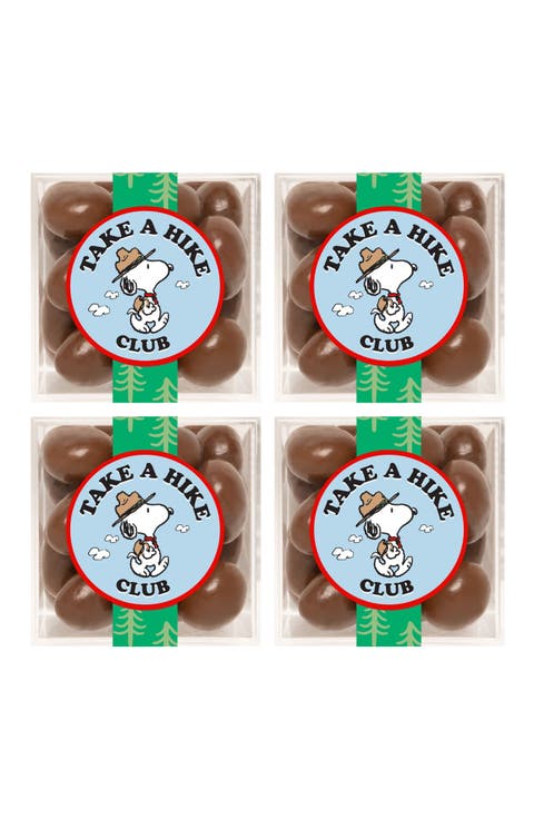 x Peanuts Chocolate Biscuits Set of 4 Candy Cubes