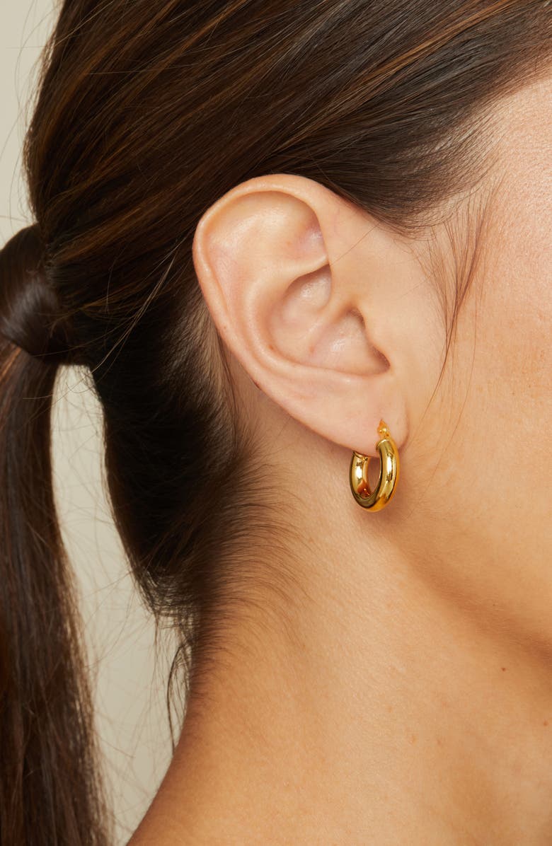 BYCHARI Baby Sade Hoop Earrings, Alternate, color, 