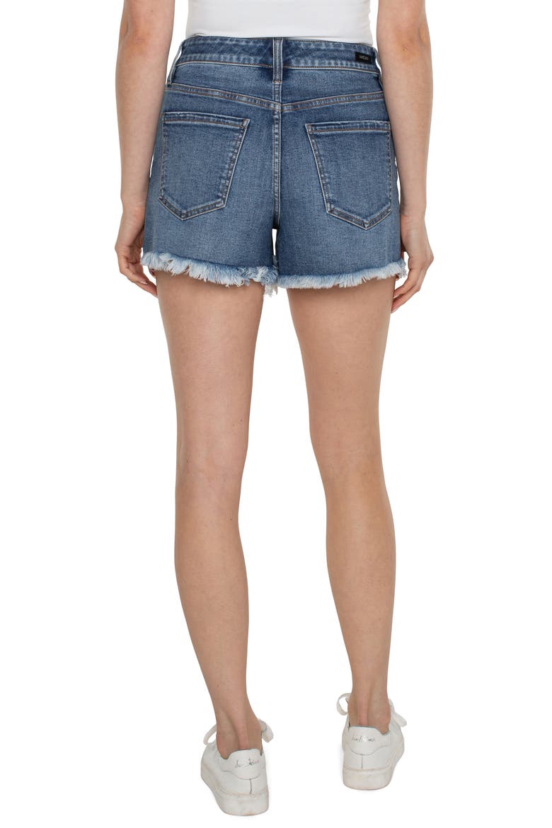 Christine Exposed Button Fly High Waist Cutoff Denim Shorts, Alternate, color, CLAYMONT
