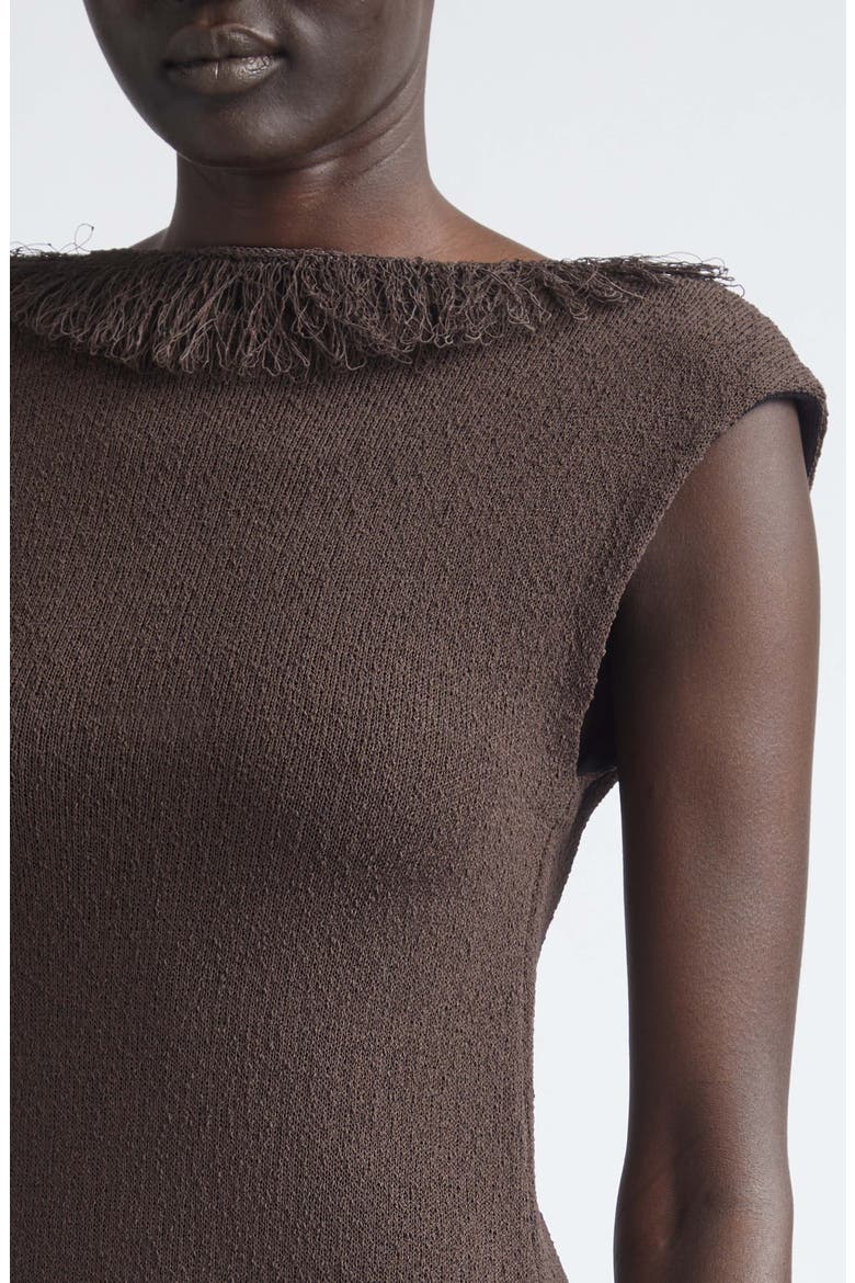 Saski Textured Fringe Sweater Dress, Alternate, color, EARTH