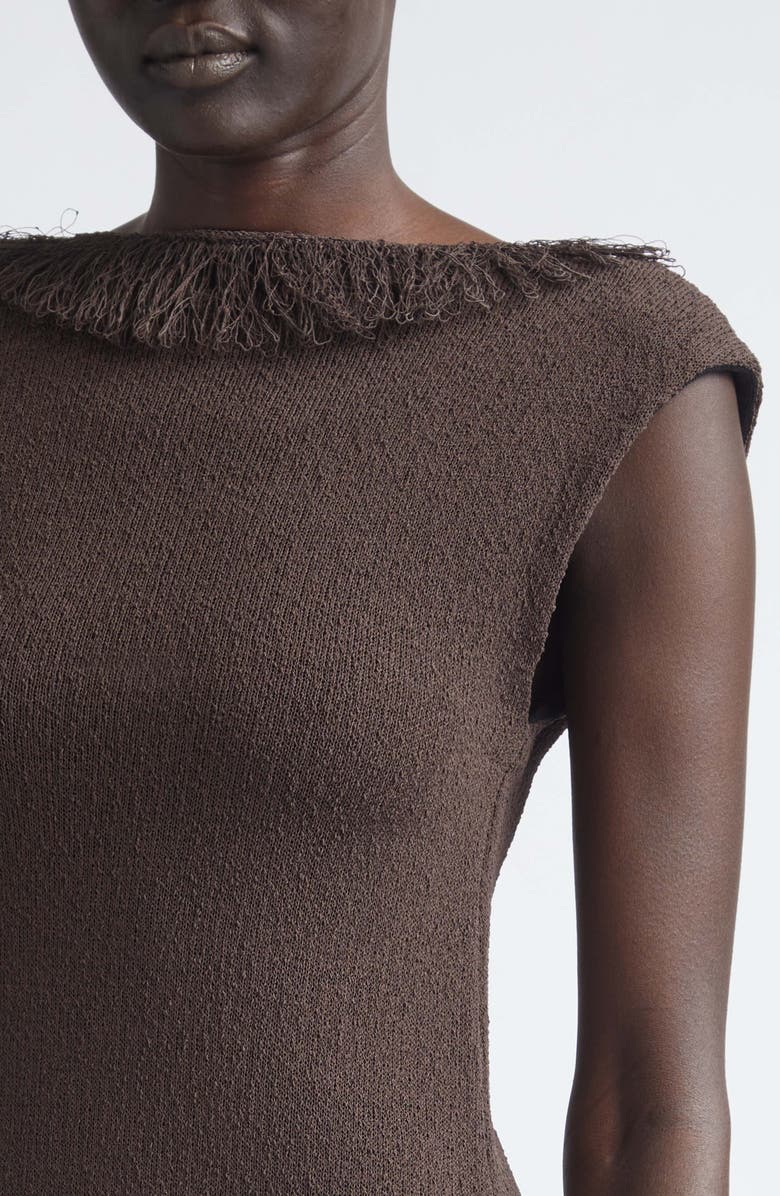 Proenza Schouler Saski Textured Fringe Sweater Dress, Alternate, color, Earth
