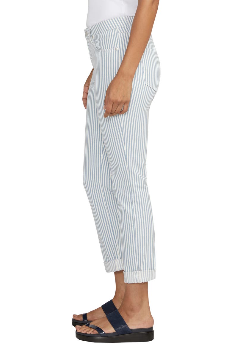 Carter Crop Slim Straight Leg Jeans, Alternate, color, RAILROAD STRIPE