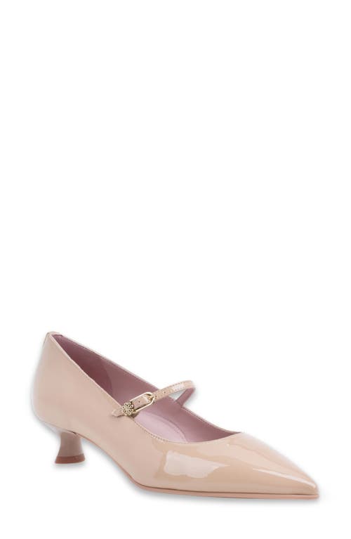 Naot Rosalie Pointed Toe Pump In Brown