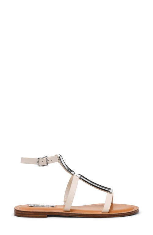 Steve Madden Alma Gladiator Sandal In Bone Leather