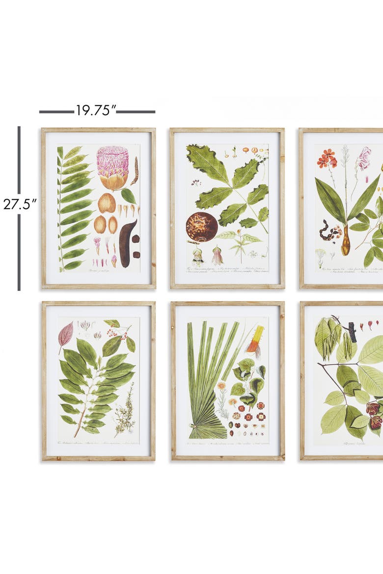 Leaf Botanical Study Set of 6, Alternate, color, Green