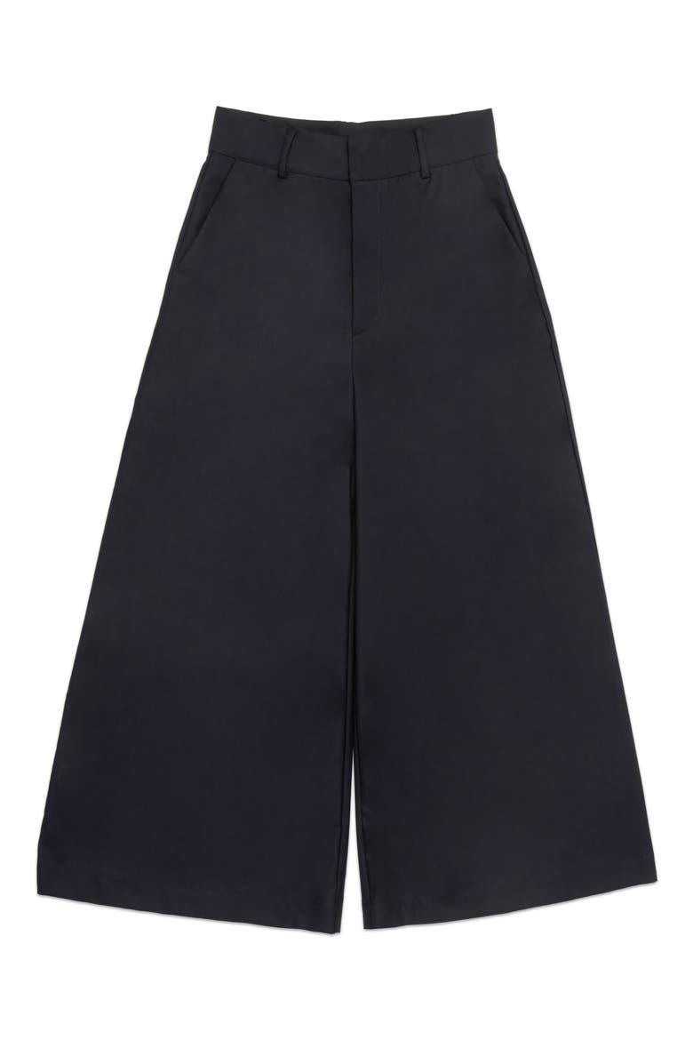 Martin Pleated Wide Leg Pants, Main, color, DARK BLUE