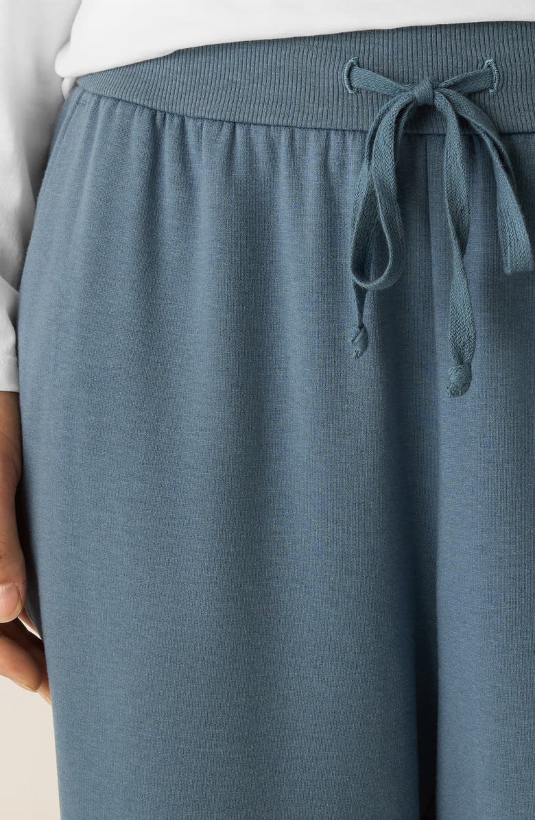 Eileen Fisher Terry Ankle Track Pants, Alternate, color, Sea Spray