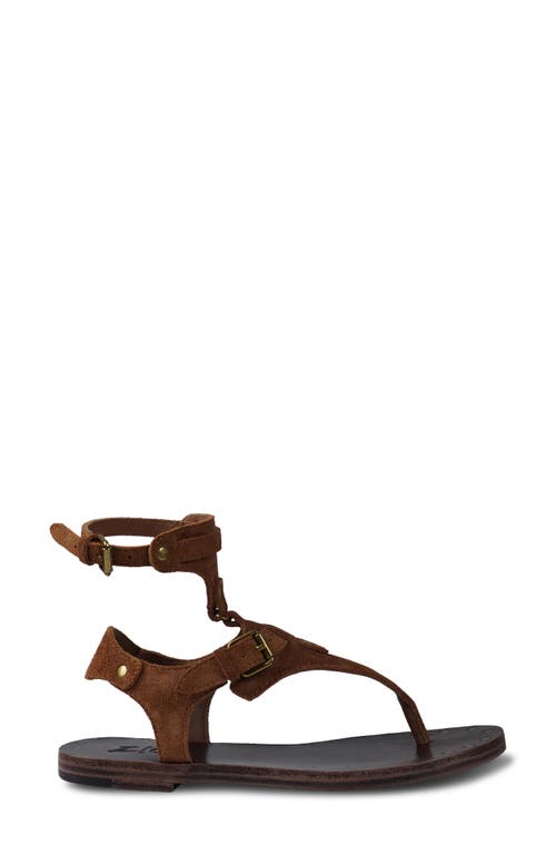 Zigi Lust Ankle Strap Sandal In Brown