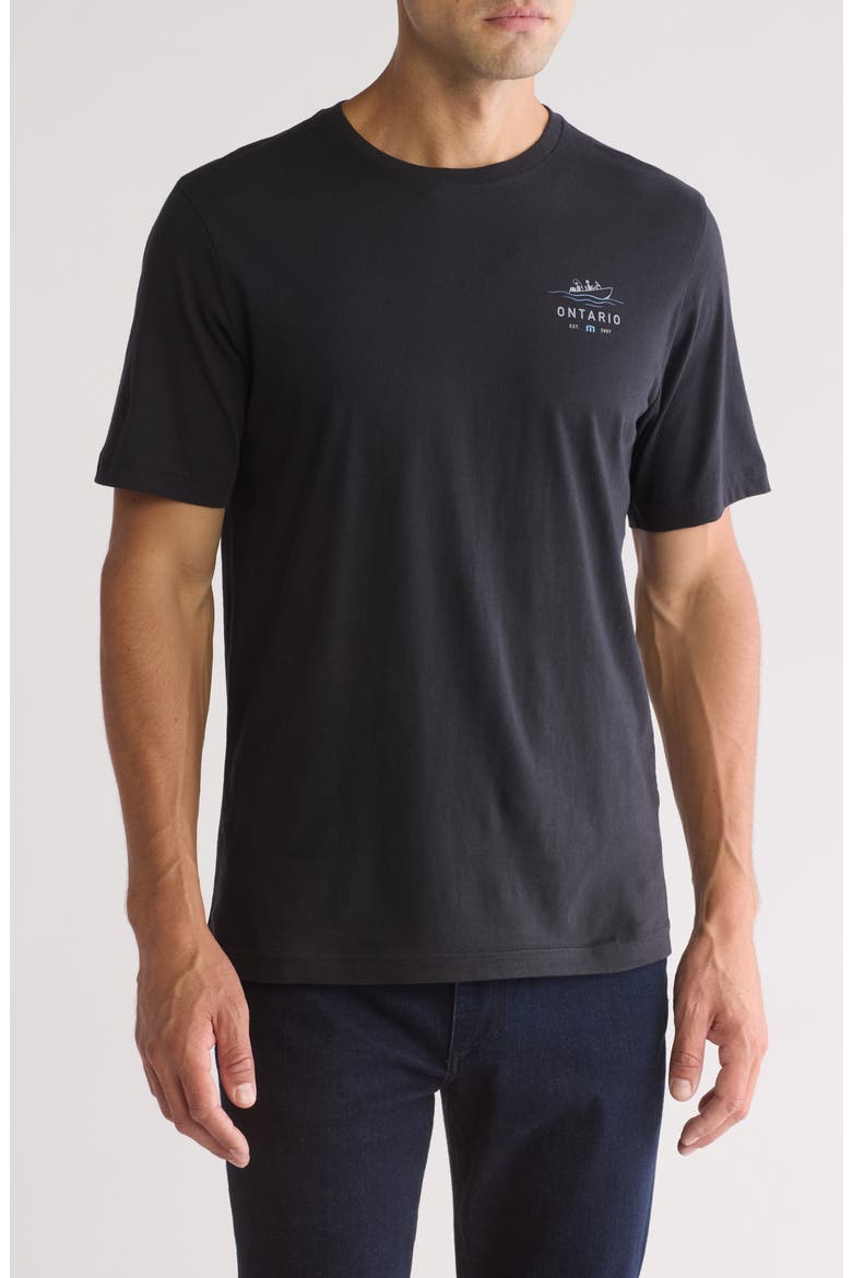 Lake Ice 2.0 Cotton Graphic T-Shirt, Main, color, BLACK