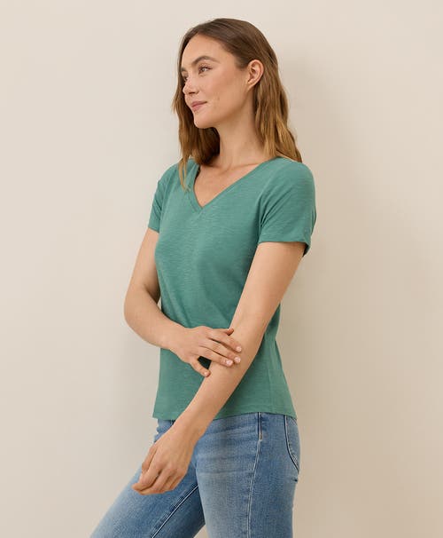 Pact Organic Cotton Featherweight Slub V-neck Tee