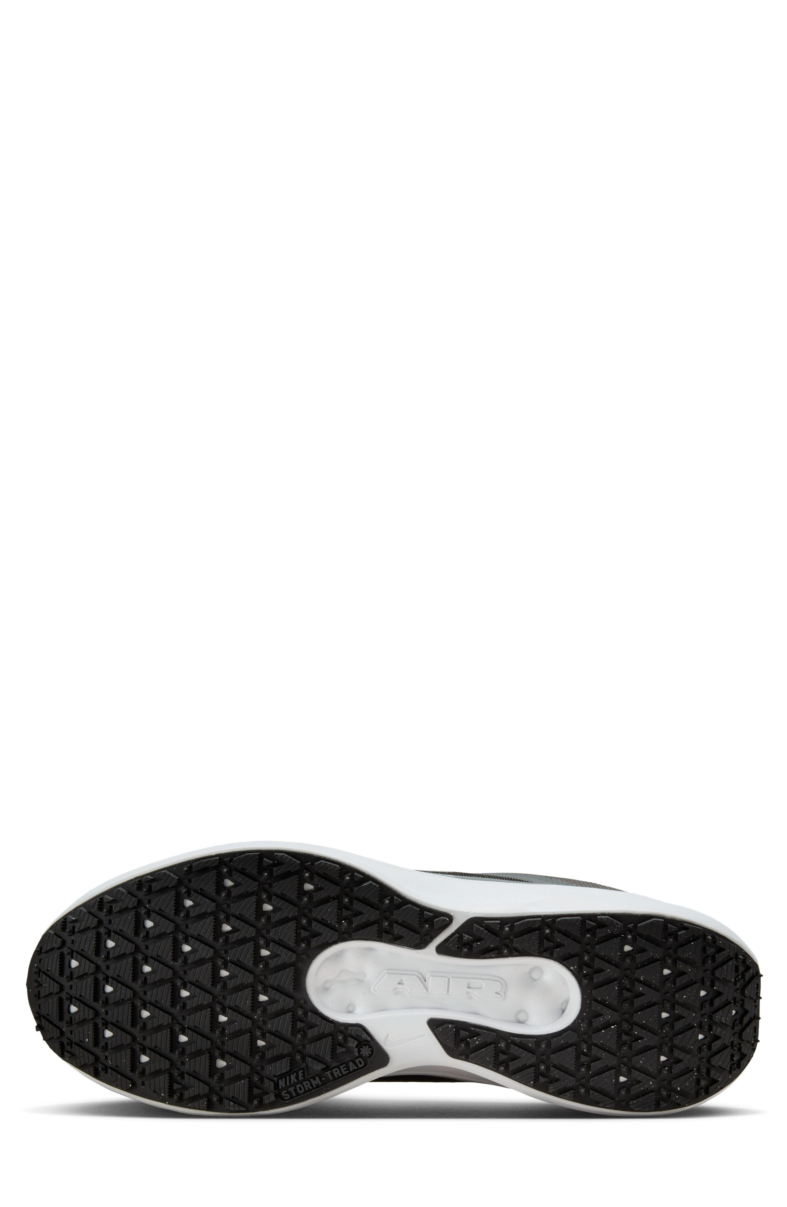 Nike Air Winflo 11 GTX Running Shoe, Alternate, color, 004 Anthra/M Silv