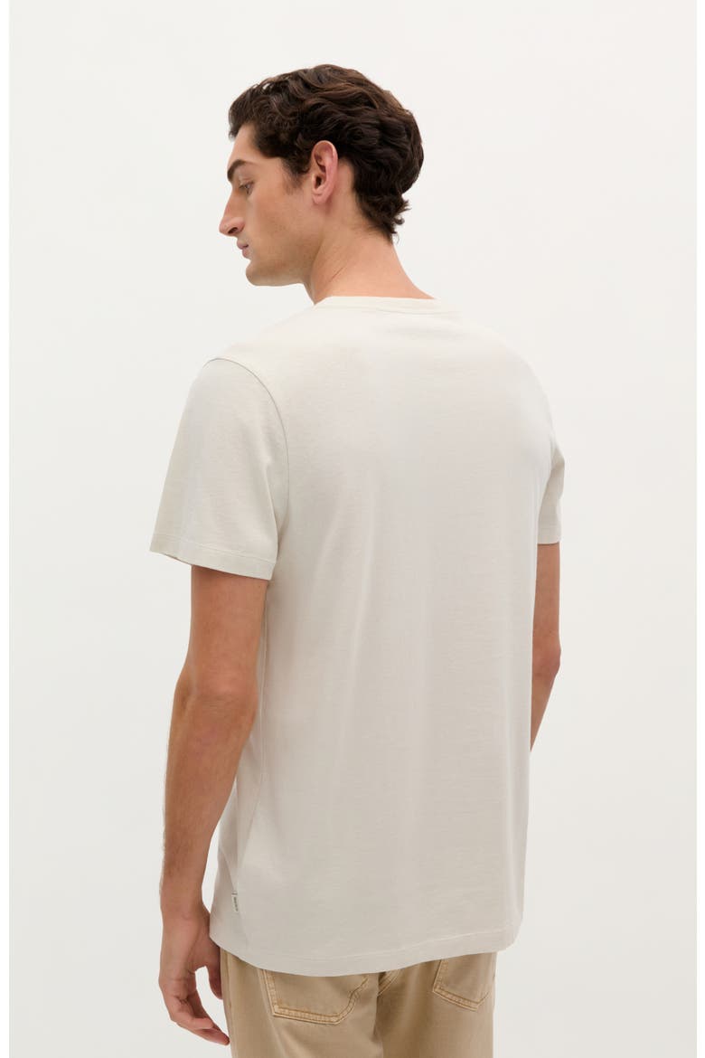 Summer Dog Tee, Alternate, color, LIGHT GREY