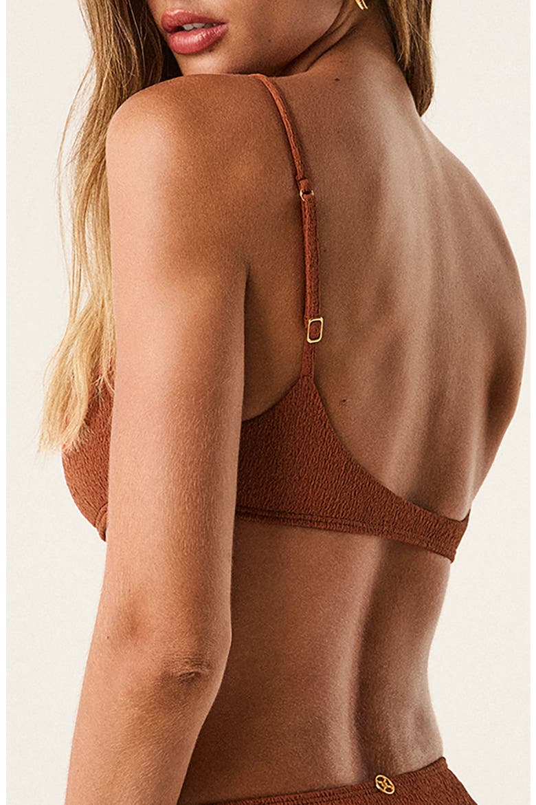 Janet Lindsay Cheeky Swim Bottoms, Alternate, color, MEDIUM BEIGE