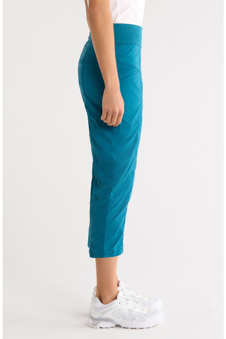 Koen Capri Pants, Alternate, color, BLUE CORAL