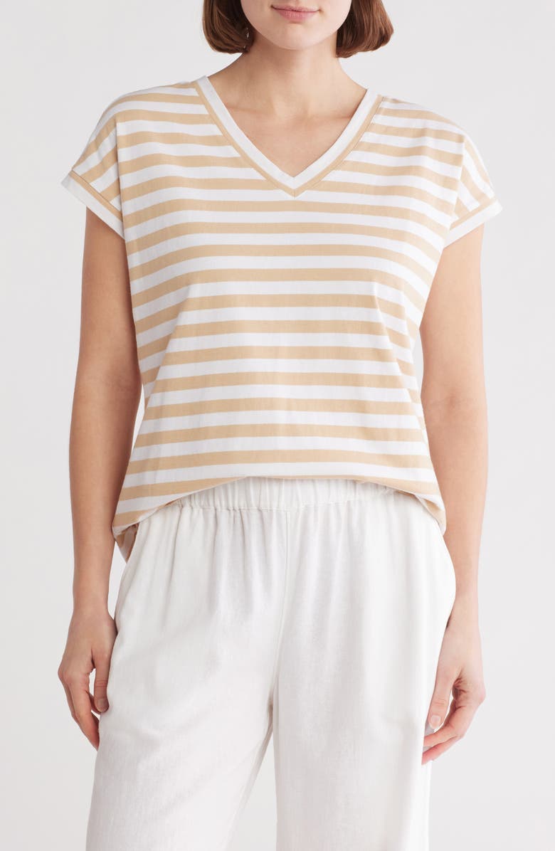 Caslon<sup>®</sup> Stripe Cotton V-Neck T-Shirt, Main, color,