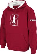 STADIUM ATHLETIC Youth Stadium Athletic Cardinal Stanford Cardinal Big Logo Pullover Hoodie