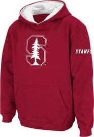 STADIUM ATHLETIC Youth Stadium Athletic Cardinal Stanford Cardinal Big Logo Pullover Hoodie